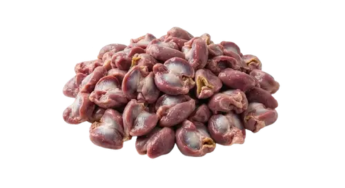 Chicken Gizzard