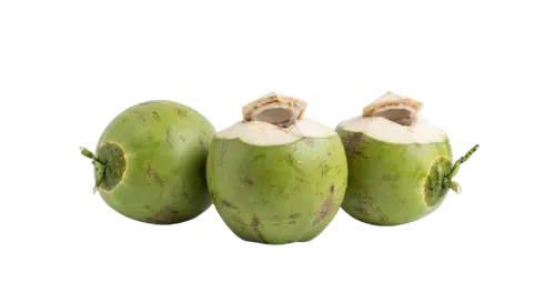Butong / Coconut